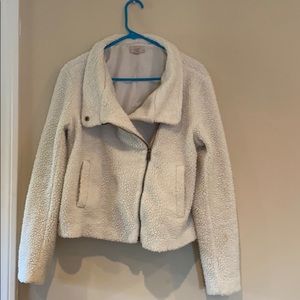Teddy moto jacket
